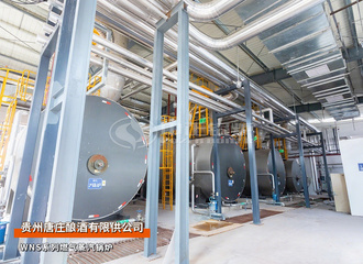 唐庄酿酒WNS系列18吨燃气蒸汽锅炉项目