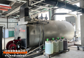 出口沙特2台WNS系列柴油4吨撬装蒸汽锅炉和2.1MW热水锅炉宠物食物行业项目