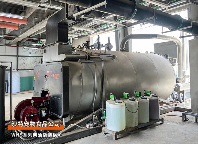出口沙特2台WNS系列柴油4吨撬装蒸汽锅炉和2.1MW热水锅炉宠物食物行业项目