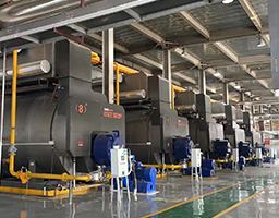 ZOZEN boiler
