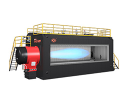 ZOZEN boiler