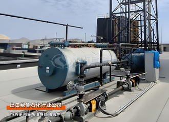 出口秘鲁：2台YYW系列120万大卡轻柴油导热油锅炉石化行业项目
