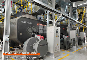 中正锅炉蒙古MCS可口可乐WNS系列8吨三回程燃气蒸汽锅炉项目