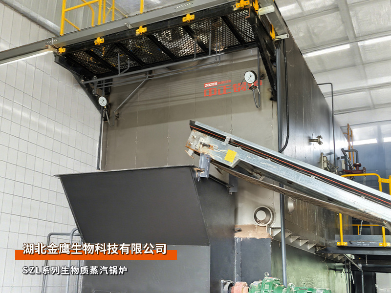 湖北金鹰SZL系列4吨生物质蒸汽锅炉食物行业项目
