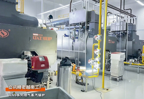 出口越南：立讯精密WNS系列6吨燃气蒸汽锅炉项目