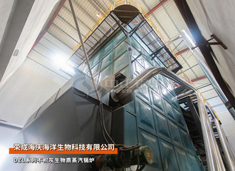 荣成海庆DZL系列20吨三锅筒生物质蒸汽锅炉水产加工行业项目