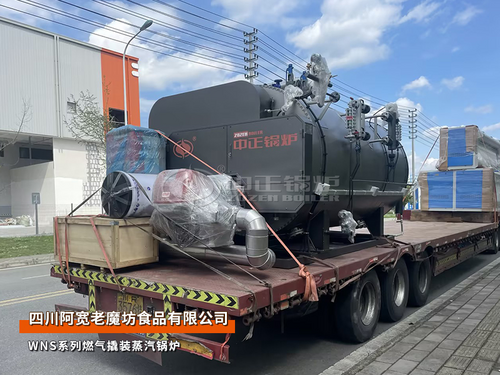 中正锅炉WNS撬装燃气锅炉