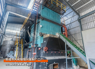 山东恒兴鱼粉厂DZL系列10吨三锅筒不积灰生物质蒸汽锅炉项目