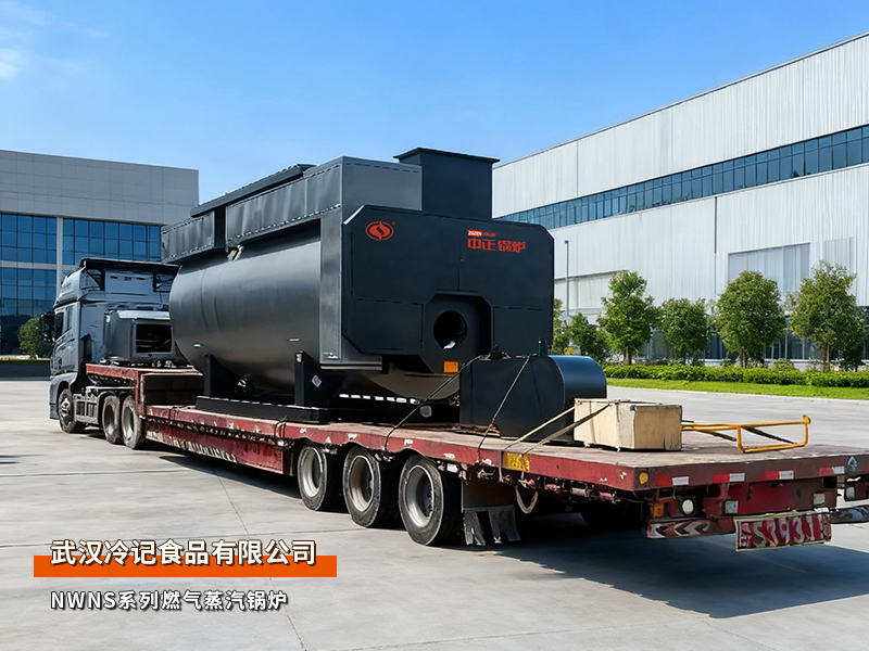 武汉冷记食物NWNS系列8吨燃气蒸汽锅炉项目