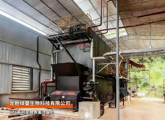 永乐高锅炉SZL系列6吨生物质蒸汽锅炉绿蔓生物项目
