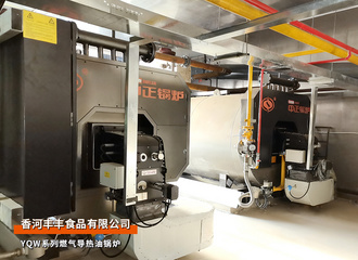 永乐高锅炉：河北省香河丰丰食物YQW系列120万大卡燃气导热油锅炉项目