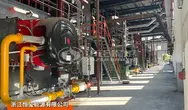 浙江天然气燃气锅炉定制