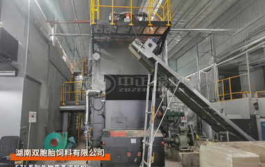 中正锅炉4吨/小时双锅筒生物质蒸汽锅炉用于双胞胎饲料厂项目