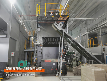 中正锅炉4吨/小时双锅筒生物质蒸汽锅炉用于双胞胎饲料厂项目