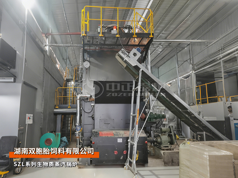永乐高锅炉4吨/小时双锅筒生物质蒸汽锅炉用于双胞胎饲料厂项目