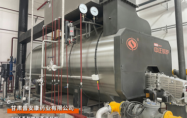 兰州：中正锅炉甘肃普安康药业6吨WNS系列燃气蒸汽锅炉项目