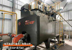 重庆：中正锅炉WNS系列燃气蒸汽锅炉食品加工行业项目