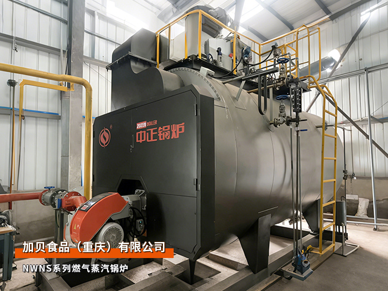 重庆：永乐高锅炉WNS系列燃气蒸汽锅炉食物加工行业项目