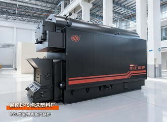 越南Tan Phong泡沫塑料厂DZL系列4吨生物质蒸汽锅炉项目