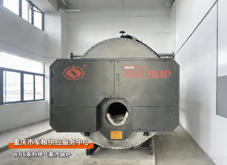永乐高锅炉WNS系列1吨/时燃气蒸汽锅炉应用于重庆食物行业项目