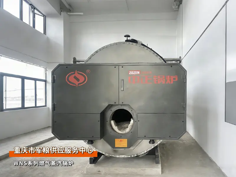 wns蒸汽锅炉食品行业应用案例
