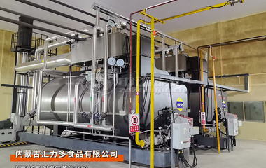 威客电竞锅炉为内蒙古汇力多食物公司建设2套6吨/时自然气蒸汽锅炉项目