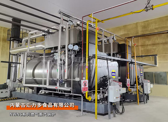 永乐高锅炉为内蒙古汇力多食物公司建设2套6吨/时自然气蒸汽锅炉项目