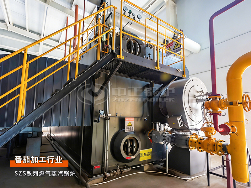 日处置惩罚3000吨！永乐高35吨/时燃气蒸汽锅炉护航新疆迪盛番茄新建项目