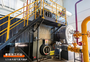 日处置惩罚3000吨！永乐高35吨/时燃气蒸汽锅炉护航新疆迪盛番茄新建项目