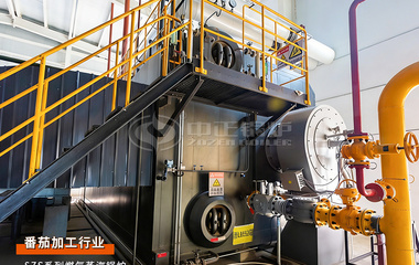 日处理3000吨！中正35吨/时燃气蒸汽锅炉护航新疆迪盛番茄新建项目