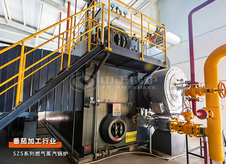 日处置惩罚3000吨！永乐高35吨/时燃气蒸汽锅炉护航新疆迪盛番茄新建项目