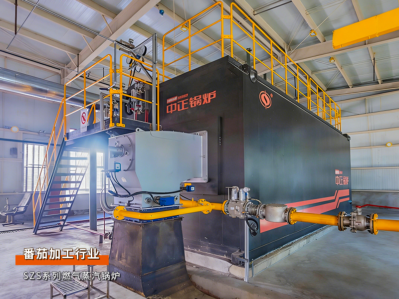 永乐高锅炉25吨/时燃气蒸汽锅炉助力东方红番茄远销外洋项目