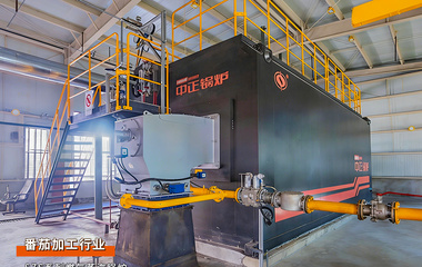 中正锅炉25吨/时燃气蒸汽锅炉助力东方红番茄远销海外项目