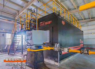 永乐高锅炉25吨/时燃气蒸汽锅炉助力东方红番茄远销外洋项目