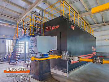 中正锅炉25吨/时燃气蒸汽锅炉助力东方红番茄远销海外项目