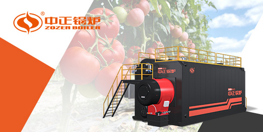 守护舌尖上的“红色产业”：中正燃气蒸汽锅炉破解新疆番茄加工行业痛点