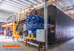 新疆天泉润红年产10000吨番茄酱生产线35吨/时和6吨/时燃气蒸汽锅炉项目