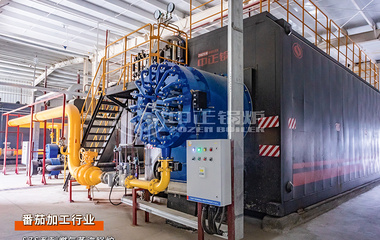 新疆天泉润红年产10000吨番茄酱生产线35吨/时和6吨/时燃气蒸汽锅炉项目