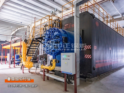 新疆天泉润红年产10000吨番茄酱生产线35吨/时和6吨/时燃气蒸汽锅炉项目