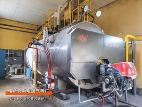 出口哈萨克斯坦WNS系列6吨燃气蒸汽锅炉建材加气砖项目