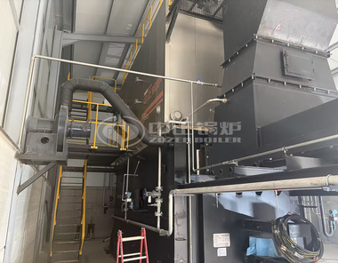 往复炉排结构便于适应橄榄核、木片等粒径不一的生物质散料燃料。