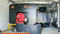 山东新泰日进化工YQW系列600万大卡燃气导热油锅炉项目