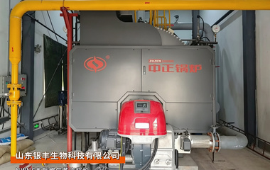 山东饲料行业：中正锅炉冷凝式WNS系列4吨/时燃气蒸汽锅炉项目